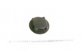 Крышка расширительного бачка
