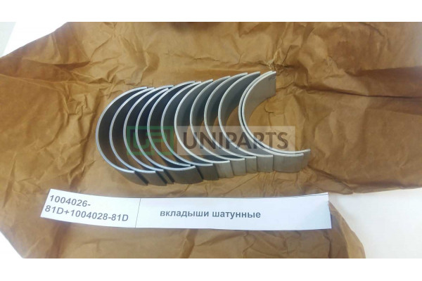 Вкладыши шатунные STD (комплект 12шт ) CA6DM2 J6